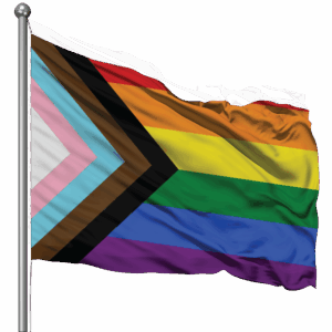 PROGRESS PRIDE FLAG 180 x 120cm (Ultrasheen)