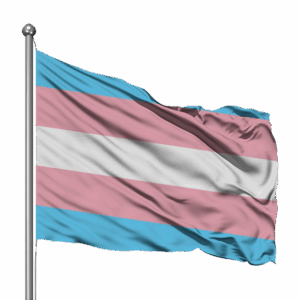 TRANSGENDER FLAG 180 x 120cm (Ultrasheen)