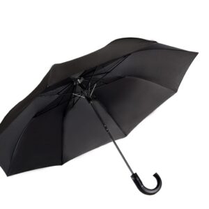 Leeds Hook Handle Umbrella