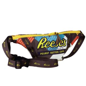 Toronto - Moon Waistbag - Upstyled