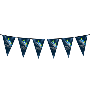 B.YOND LITHO Pennants Triangular (Single Sided Silver) 200 x 300mm