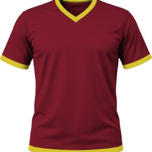 Ringer Kiddies V-Neck T-shirt, Fitted Short Sleeve, Birdseye