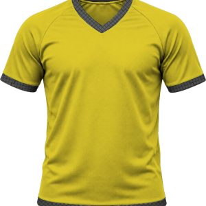 19Ten Unisex V-Neck T-shirt, Raglan Short Sleeve, Birdseye