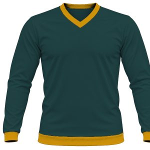 Ringer Ladies V-Neck T-shirt, Fitted Long Sleeve, Birdseye