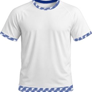19Ten Unisex Crew Neck T-shirt, Raglan Short Sleeve, Reverse Birdseye